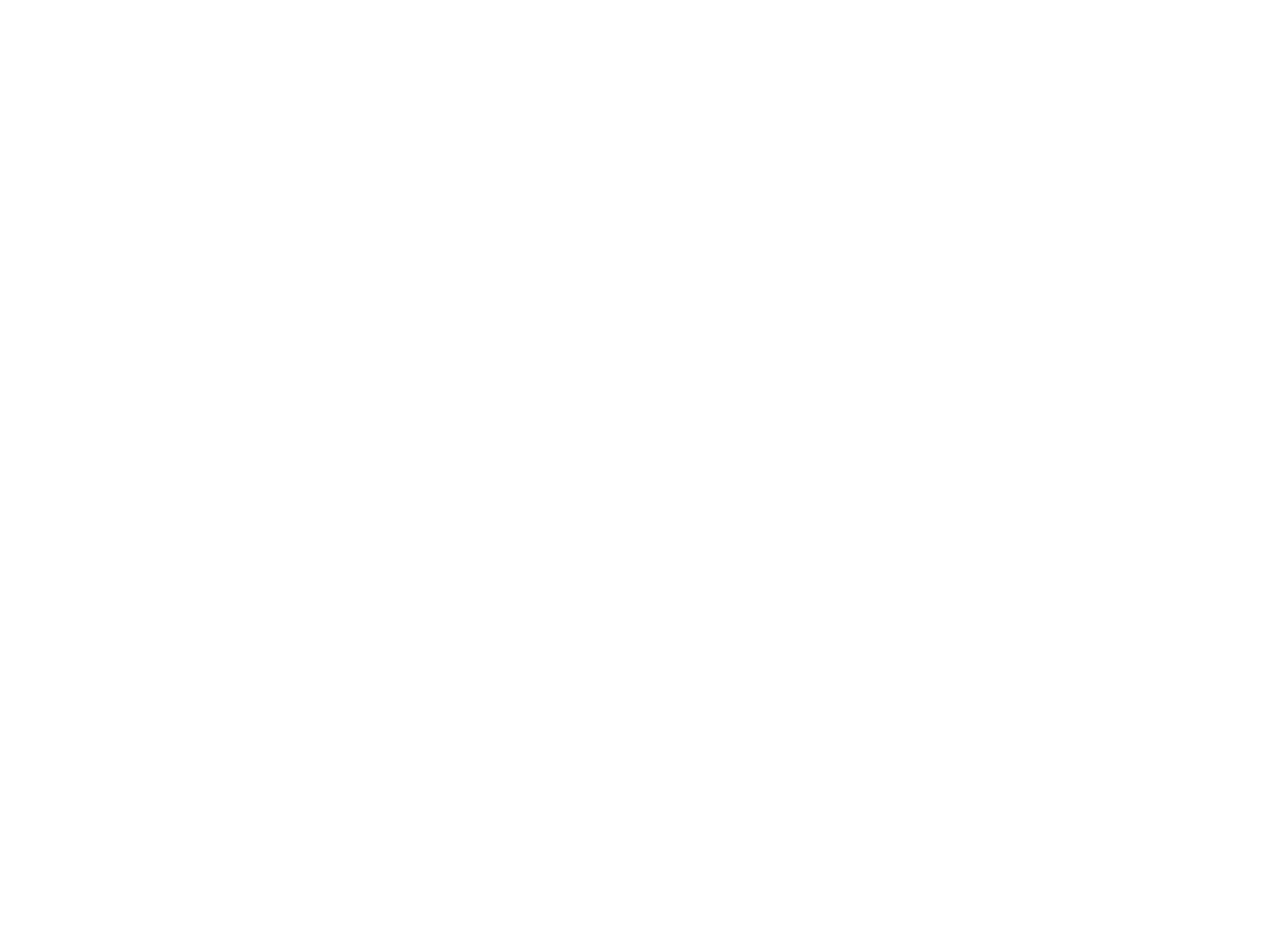 VILSA Flasche