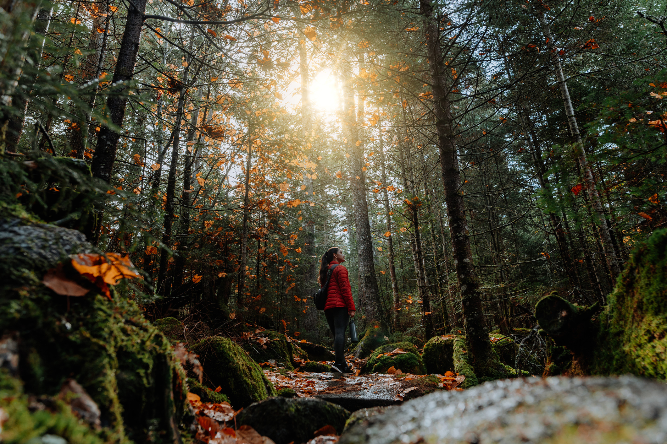 Frau mit roter Jacke steht in Waldlichtung und schaut in die Baumkronen.