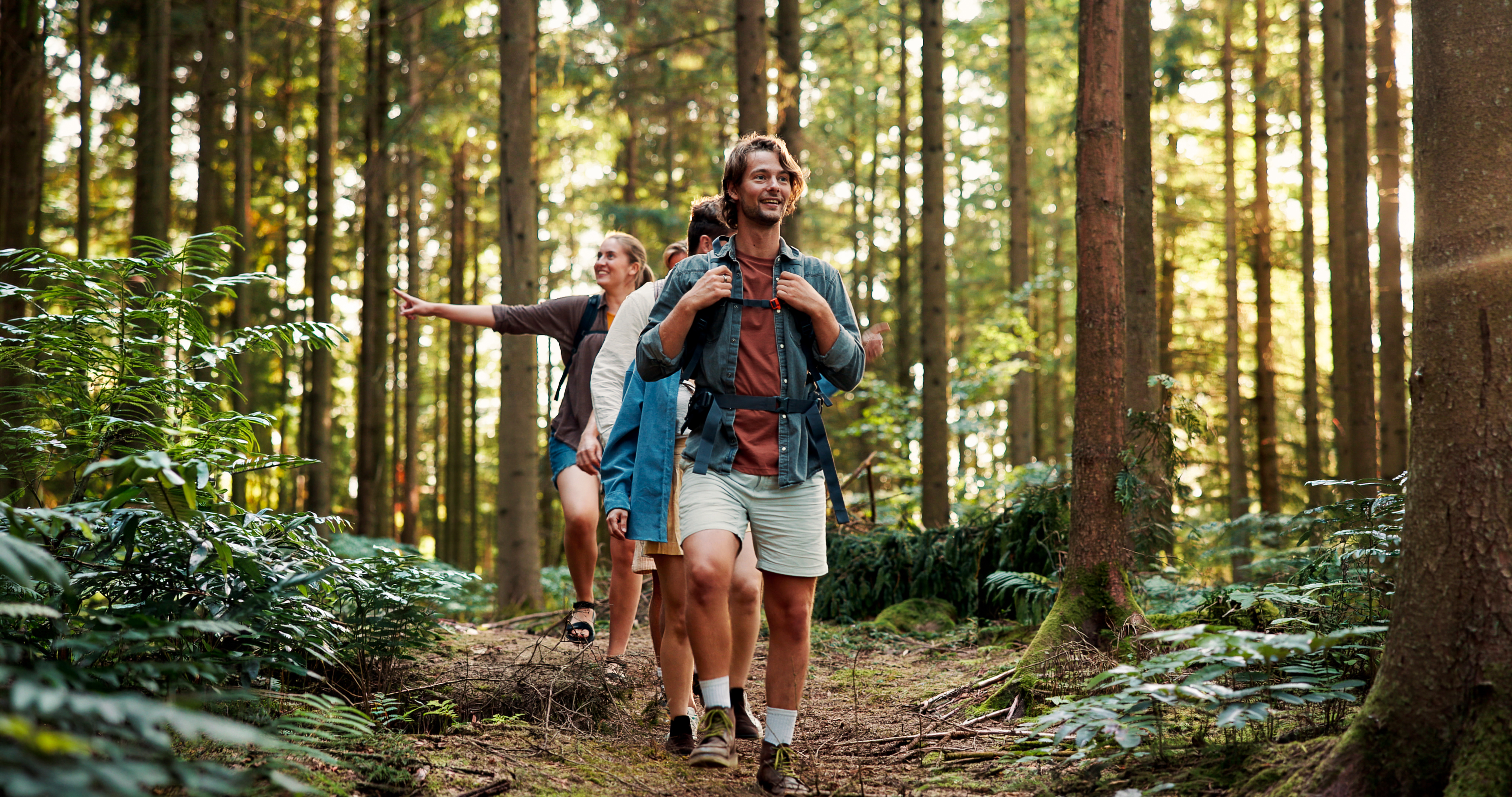Gruppe von Wanderern geht auf einem Waldweg zwischen hohen Bäumen und grünen Pflanzen spazieren.