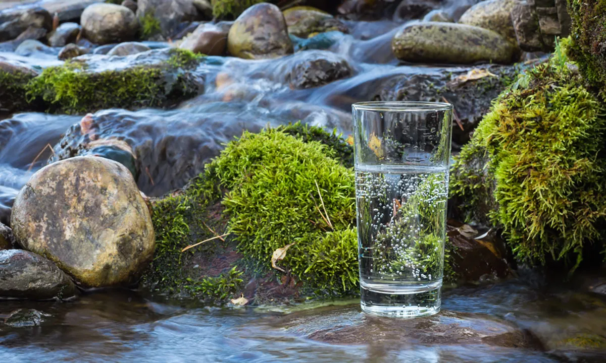 Glas mit Sprudelwasser steht in einem seichten Bach
