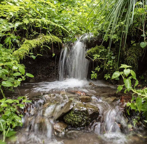 Wasserfall Quelle im Wald