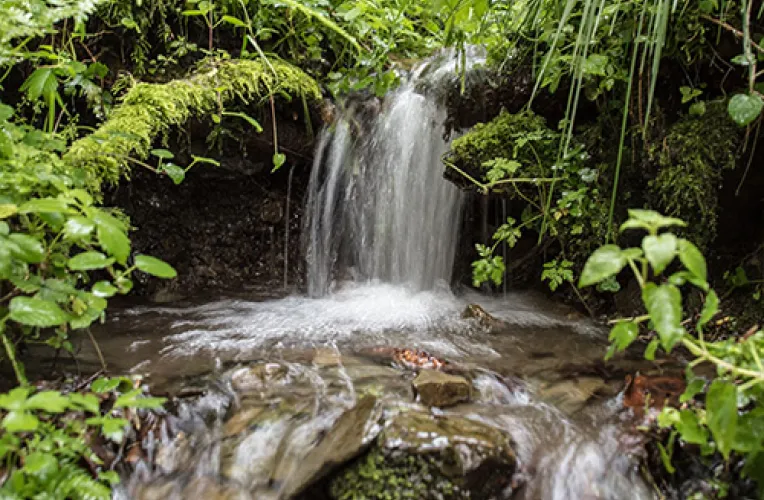 Wasserfall Quelle im Wald