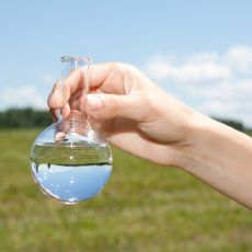 eine Hand hält ein Reagenzglas mit Wasser vor einer grünen Wiese