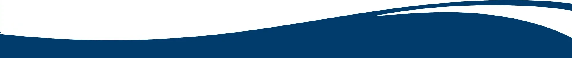 Trennergrafik auf weißem Hintergrund mit blauer Welle oben rechts.