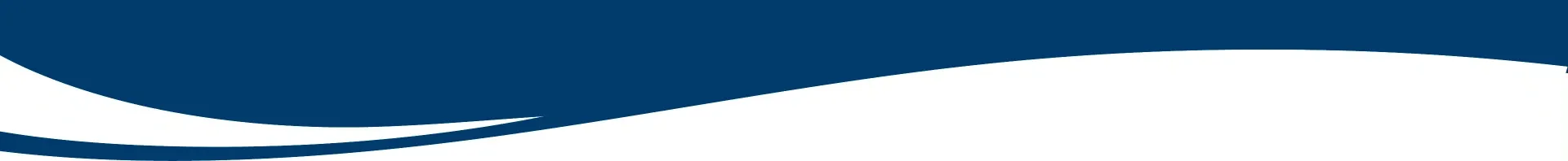 Trennergrafik auf weißem Hintergrund mit blauer Welle unten links.