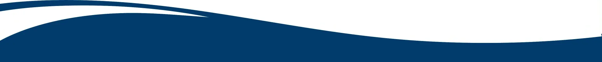 Trennergrafik auf weißem Hintergrund mit blauer Welle oben links.