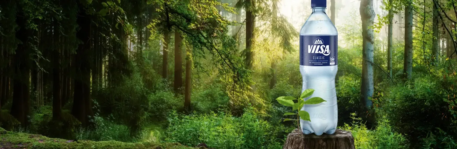 Eine Wasserflasche der Marke VILSA steht auf einem Baumstumpf in einem sonnendurchfluteten, grünen Wald. Neben der Flasche wächst eine kleine Pflanze.