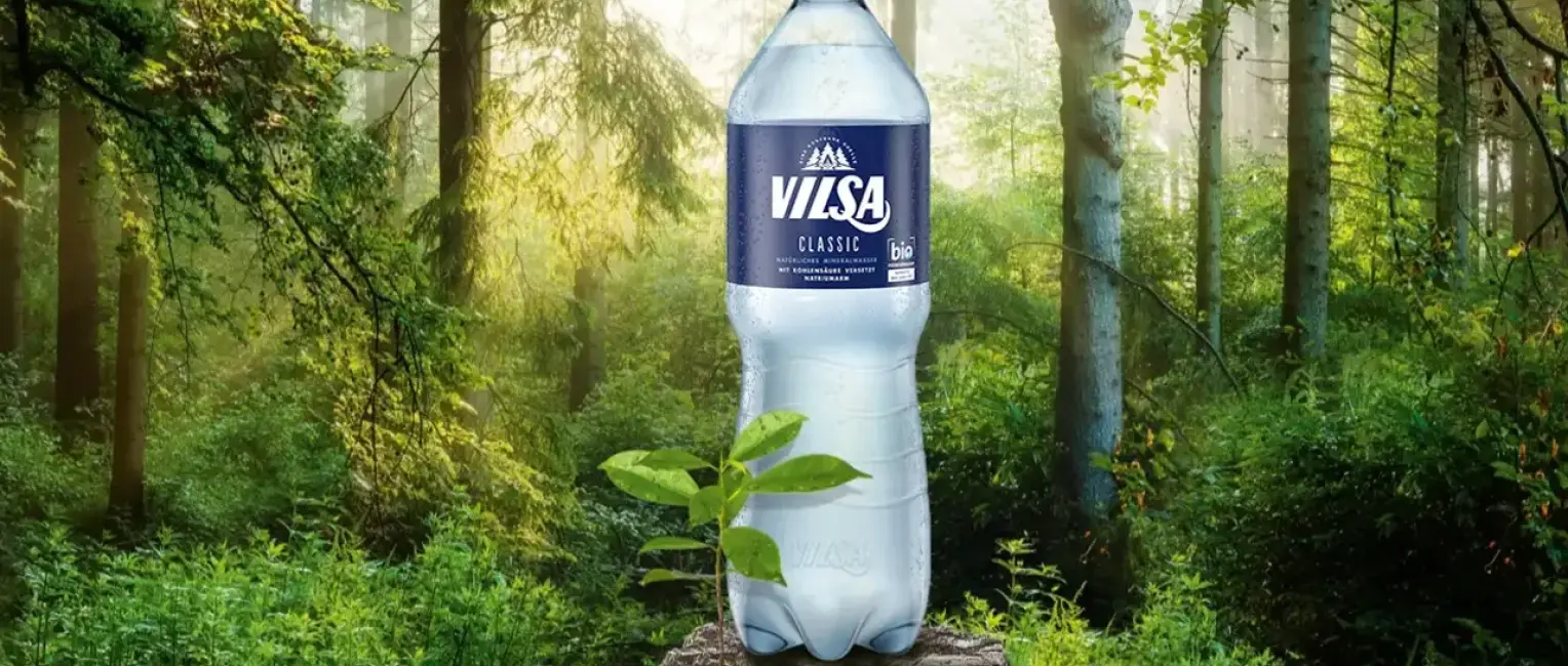Eine Wasserflasche der Marke VILSA steht auf einem Baumstumpf in einem sonnendurchfluteten, grünen Wald. Neben der Flasche wächst eine kleine Pflanze.