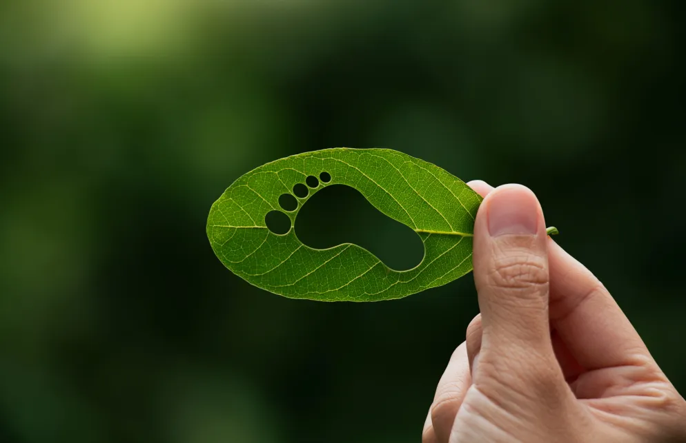 Hand hält ein grünes Blatt mit einem ausgeschnittenen Fußabdruck-Muster, im Hintergrund unscharfes Naturgrün.
