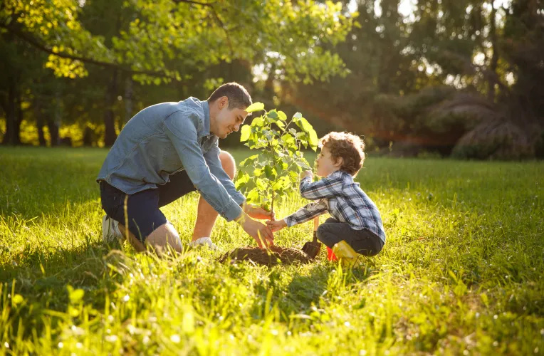 Vater in grauem Hemd und Shorts und Sohn in kariertem Hemd und Hose pflanzen einen Baum unter der Sonne.