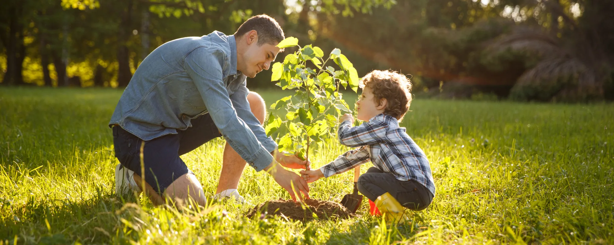 Vater in grauem Hemd und Shorts und Sohn in kariertem Hemd und Hose pflanzen einen Baum unter der Sonne.