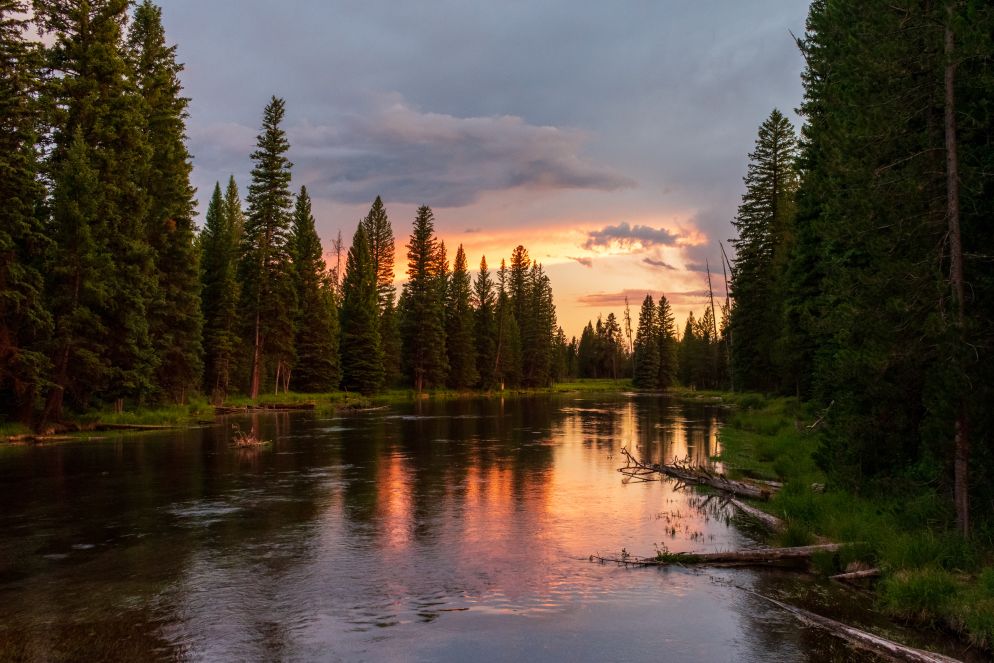 Ein ruhiger Fluss, umgeben von dichtem Nadelwald, spiegelt den farbenprächtigen Sonnenuntergang wider. Der Himmel ist von orangefarbenen und violetten Tönen durchzogen. Die Landschaft wirkt friedlich und naturbelassen.
