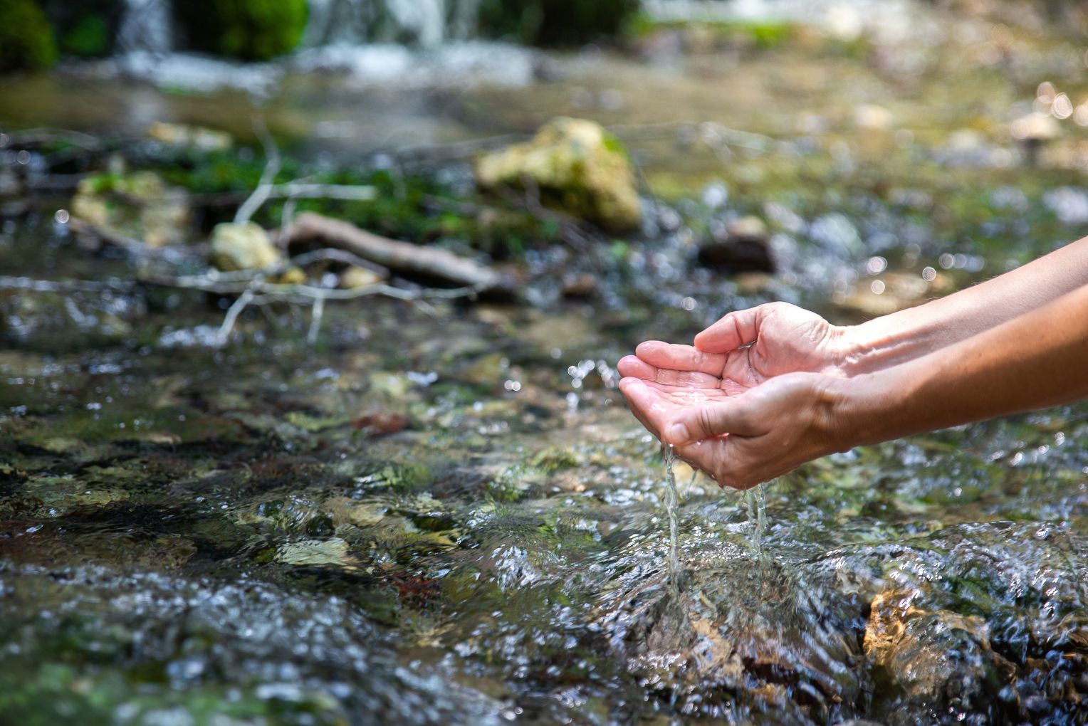 Zwei Hände schöpfen frisches Wasser aus einem klaren Bach in einer natürlichen Umgebung mit Steinen und Moos.