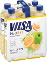 Sixpack VILSA H2Obst Iso-Grape PET 0,75l