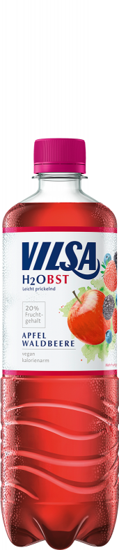 VILSA H2Obst Apfel-Waldbeere PET 0,75l