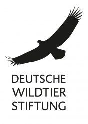 Deutsche Wildtier Stiftung Logo