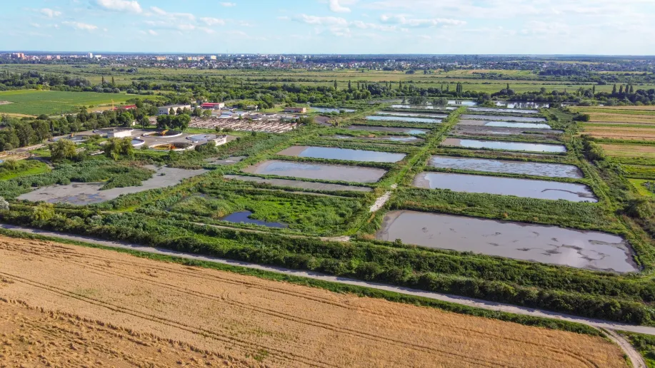 Luftaufnahme einer weitläufigen Moor- und Feuchtgebietslandschaft mit mehreren rechteckigen Wasserflächen, Schilfzonen und angrenzenden Feldern. Links sind technische Anlagen mit Rundbecken zu sehen, im Hintergrund liegen Siedlungen und offene Landschaft.