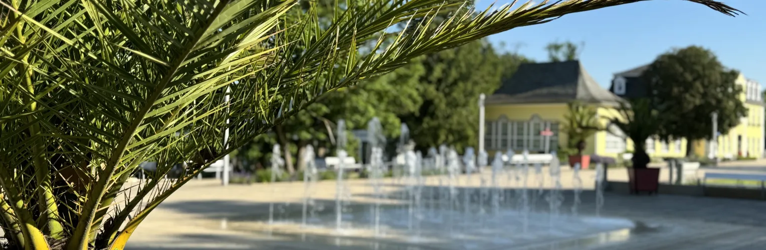 Palme im Vordergrund, dahinter ein Springbrunnen und das Haus Kassel an der Promenade.