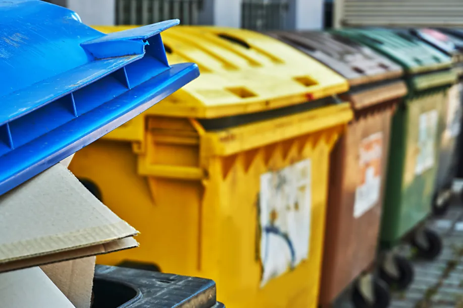 Blaue, gelbe, braune, grüne und schwarze Abfalltonne nebeneinander aufgereiht.