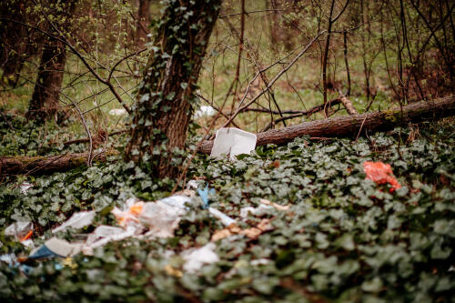 Plastikmüll auf dem Waldboden