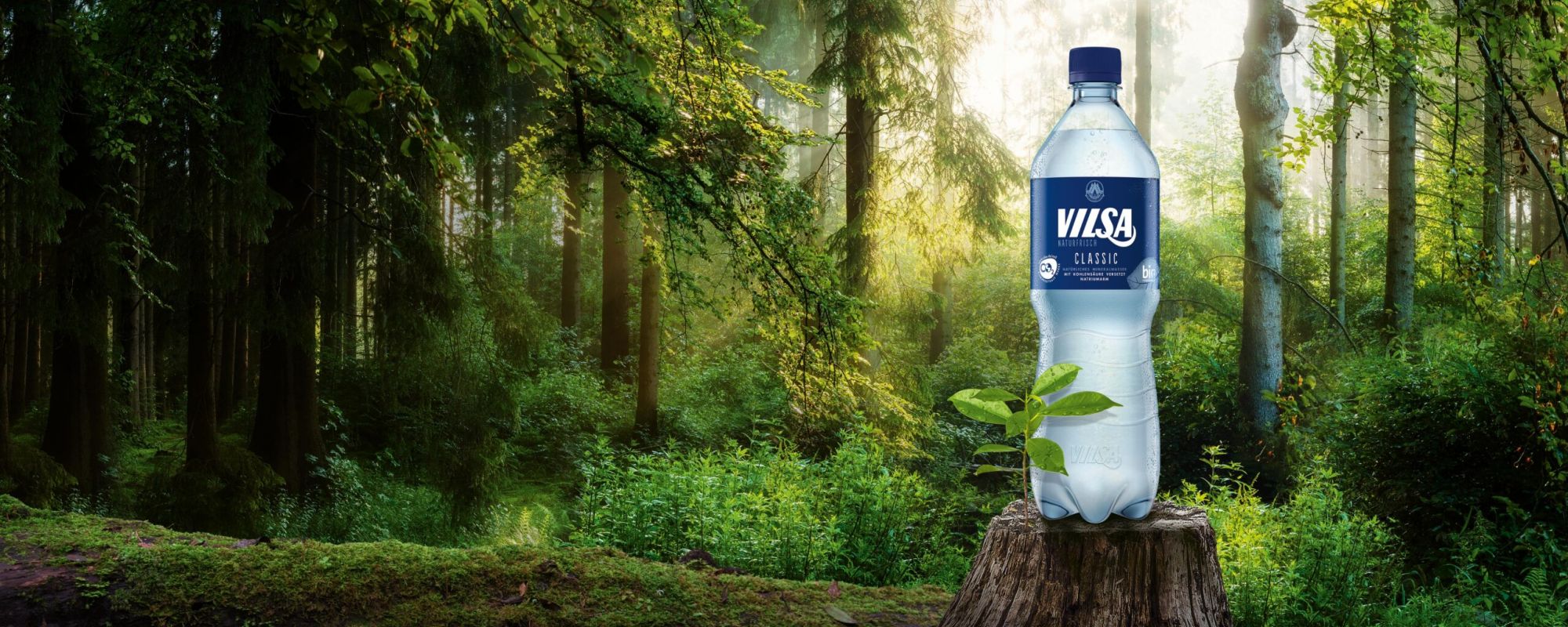 VILSA Mineralwasser classic rPET 1,0l auf einem Baumstumpf in der Natur