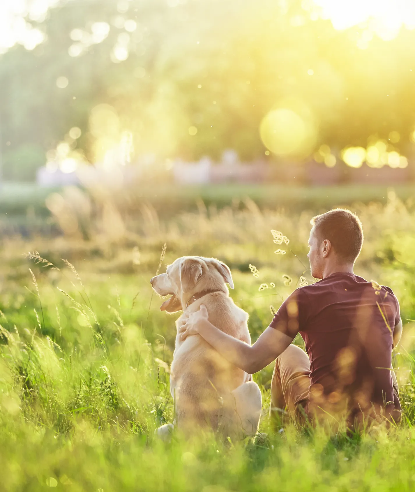 Mann mit Hund auf einem Feld gucken in die Ferne