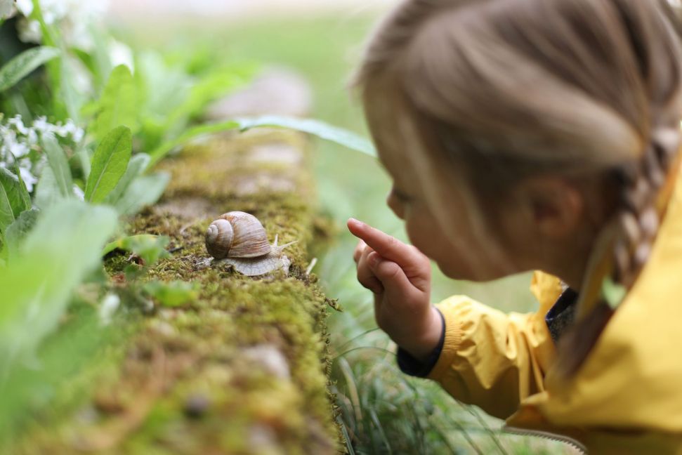 kleines Mädchen betrachtet eine Schnecke