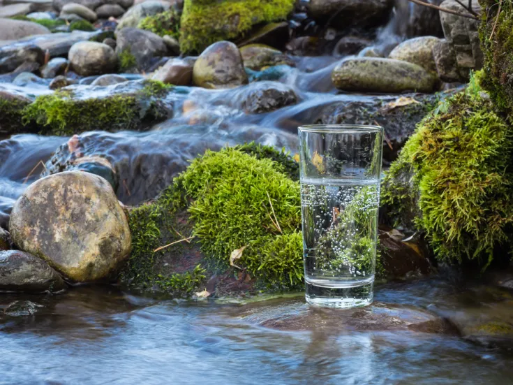 Gefülltes Wasserglas steht zwischen Steinen und Moos in einem fließenden Bach.