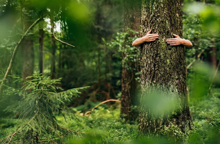 Klimabilanz