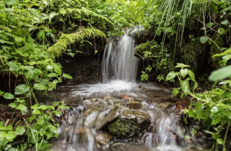 Wasserfall Quelle im Wald