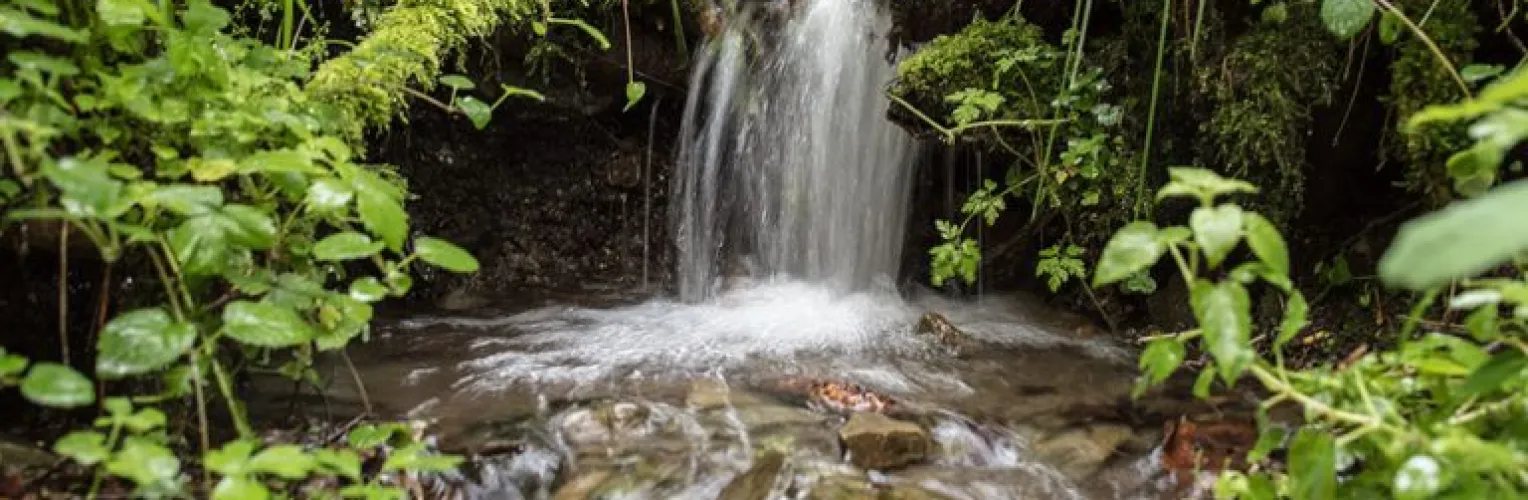 Wasserfall Quelle im Wald